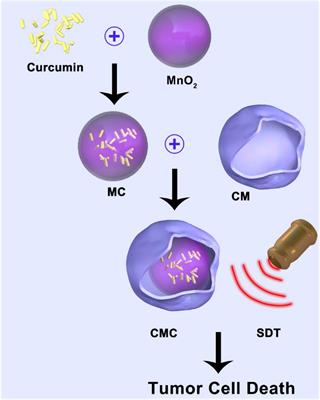 A Novel Bionic Catalyst-Mediated Drug Delivery System for Enhanced Sonodynamic Therapy